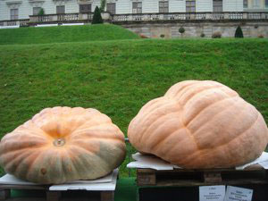 DSC01346.JPG DSC01346.JPG